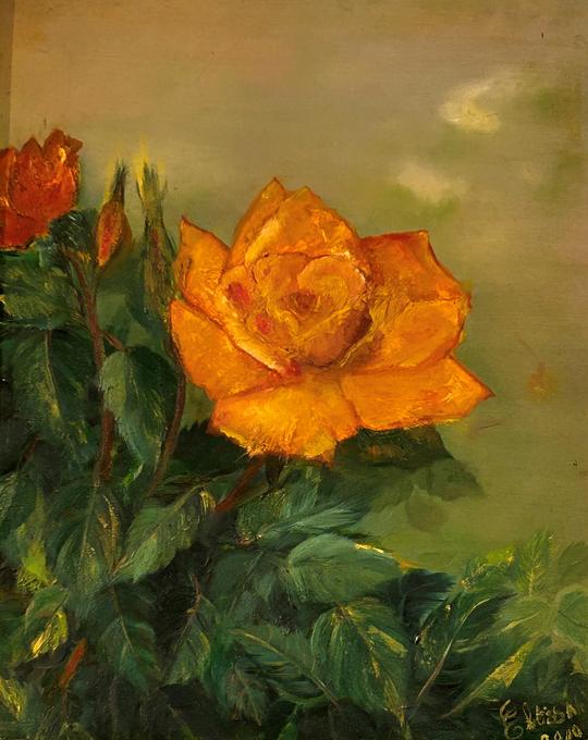 oil on canvas